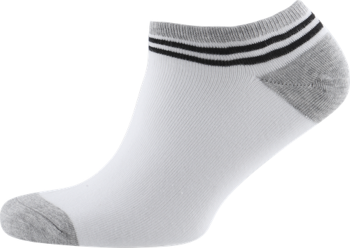 

Носки мужские Inwin р. 27 (41–43)