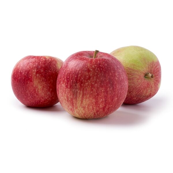 Яблоки сезонные