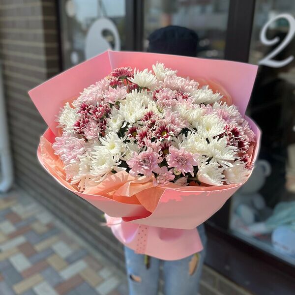 Кустовые хризантемы х19