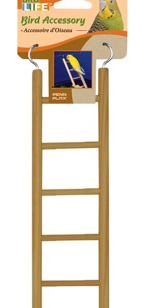 PENN-PLAX Лесенка для птиц 5 ступеней цемент 6х24см