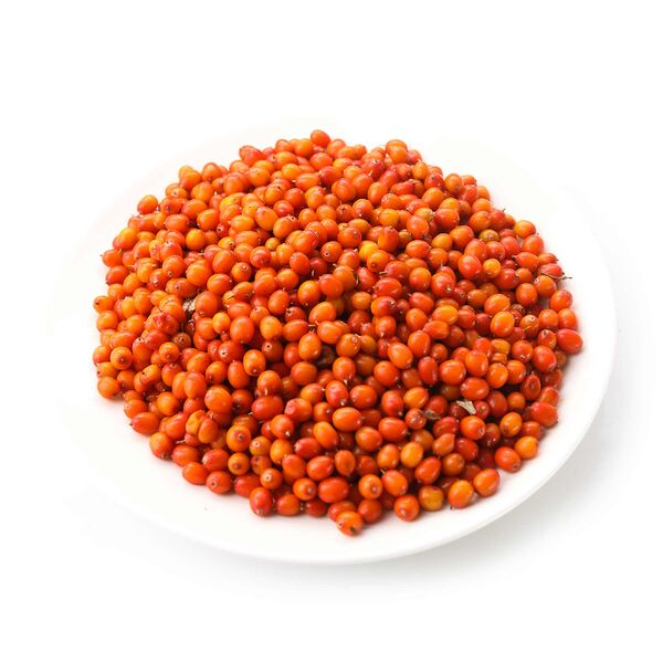 Облепиха Алтайский край