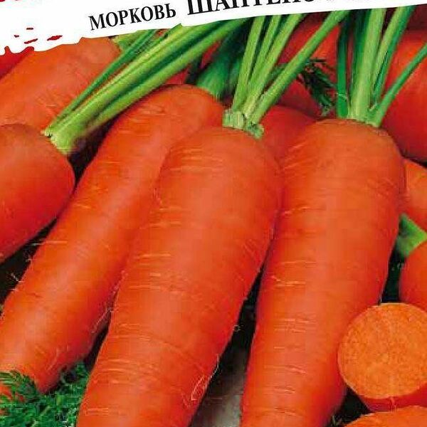 Семена морковь шантанэ роял ТМ Русский огород