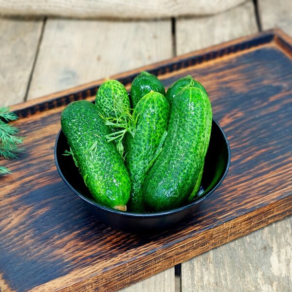 Огурцы малосольные