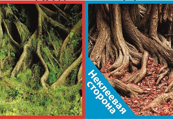 Фон двусторонний 50x100см с одной самоклеящейся стороной Корни смохом+/Корни с листьями