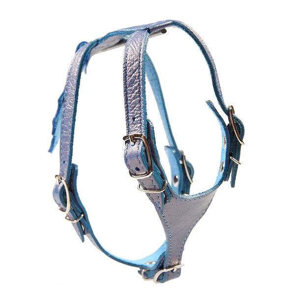 Шлейка для собак DOGGER 10 цветная