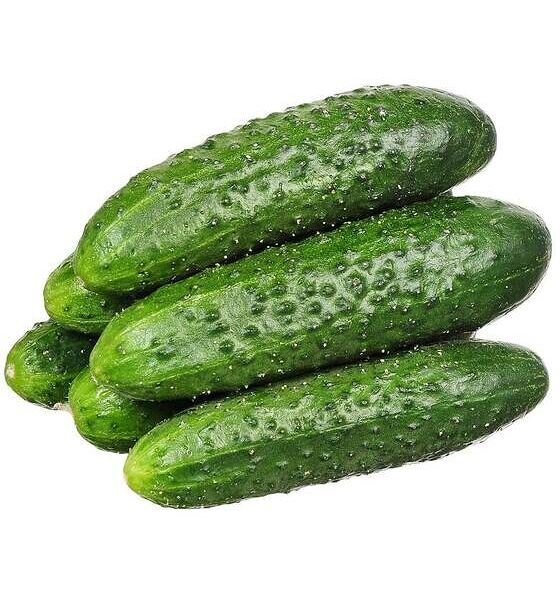 Огурцы Кураж