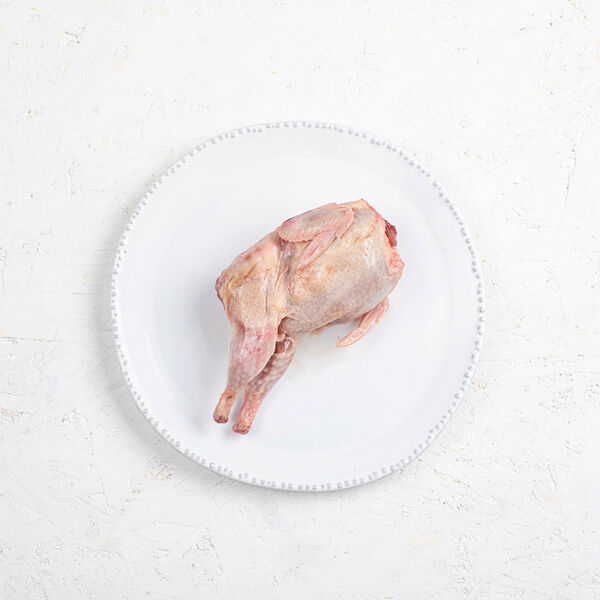 Перепёлка фермерская