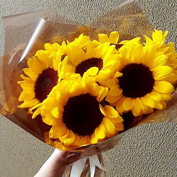 Букет из 7 подсолнухов