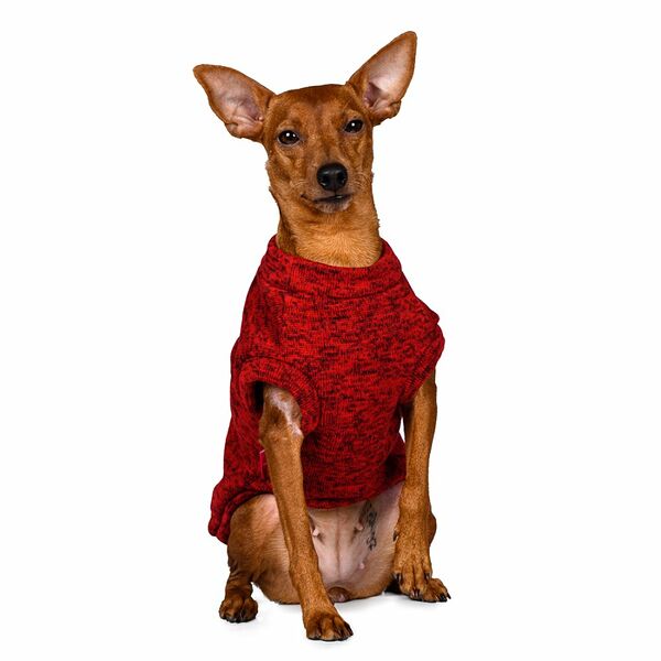 Толстовка для собак 3XL красный (унисекс)