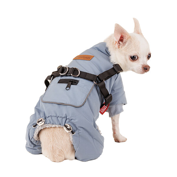 Комбинезон со шлейкой для собак S голубой (унисекс)
