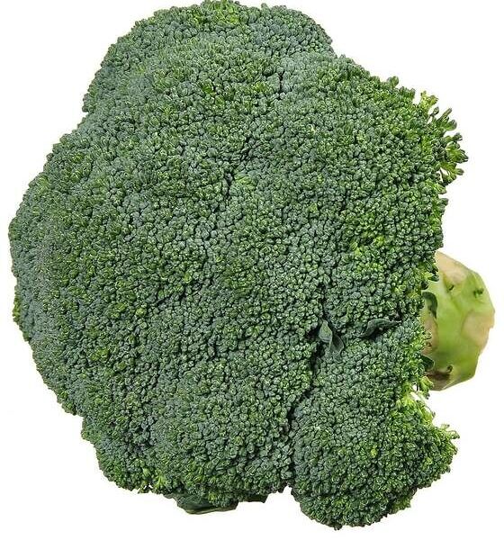 Брокколи