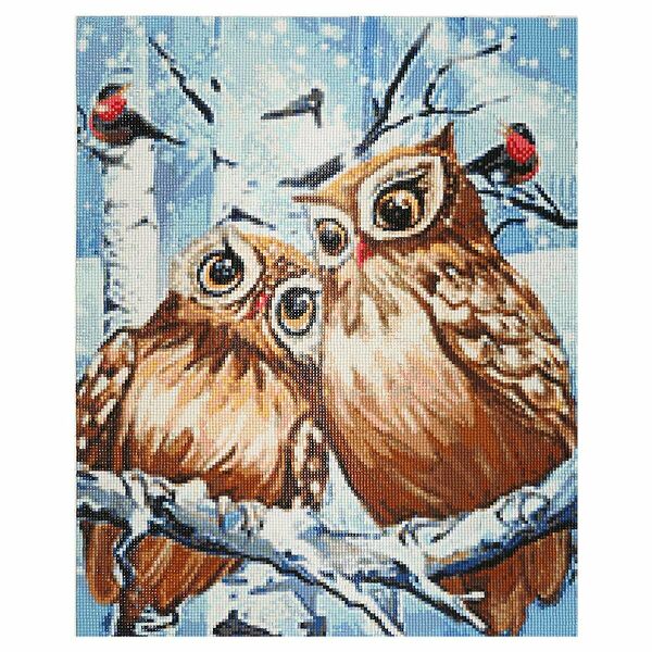 Cr 450043 Алмазная мозаика 'Совы', 40*50см, Cristyle