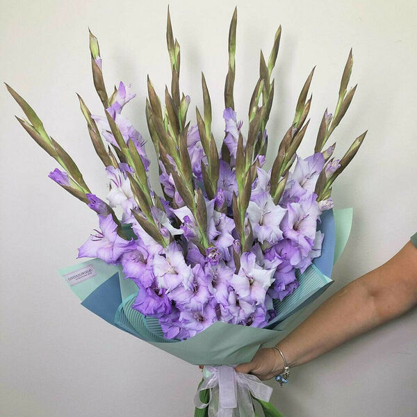 15 гладиолусов