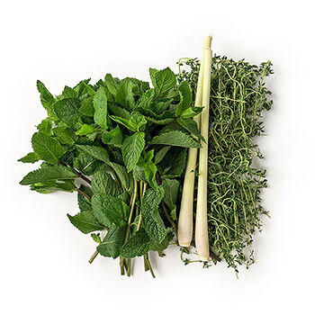 Чайный набор (тимьян+лимонная трава+мята)