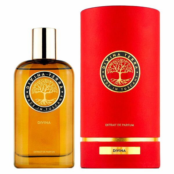 Духи нишевые DiVina Terra Divina 100 мл