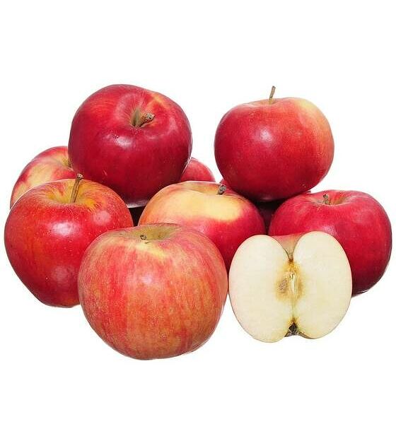 Яблоко Малинка