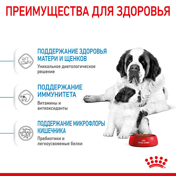 Royal Canin Giant Starter для щенков до 2 месяцев, беременных и кормящих сук гигантских пород Курица