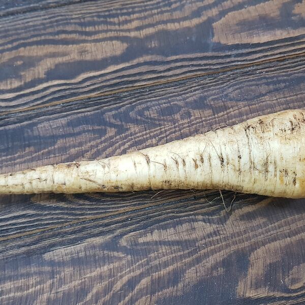 Корень пастернака, 80гр