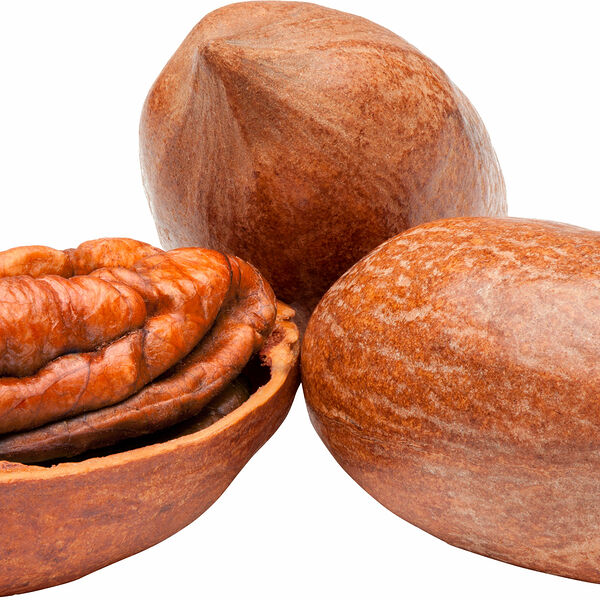 Орех Пекан в скорлупе 300 г