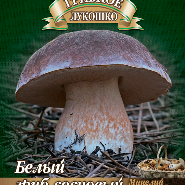 Мицелий грибов на зерновом субстрате ГАВРИШ Грибное лукошко, в ассортименте: белый гриб, белый гриб сосновый, лисички, подосиновик, Арт. 1026999267