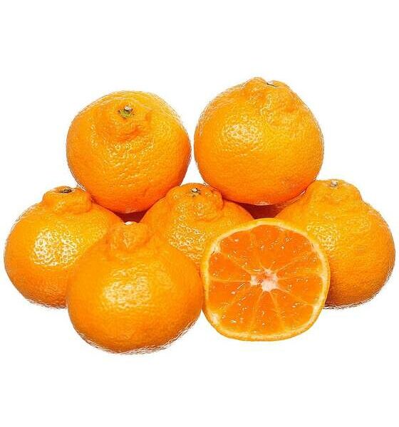 Мандарины Испания