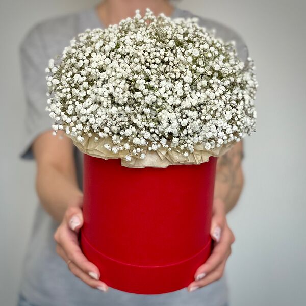 Белая гипсофила в коробке М