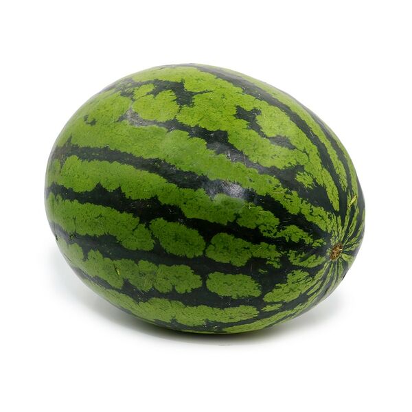 Арбуз ЖЕЛТЫЙ РОССИЯ