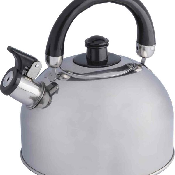 Чайник нержавеющий Appetite со свистком HSK-H003B