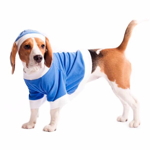 Пуловер для собак Снегурочка 2XL голубой (унисекс)