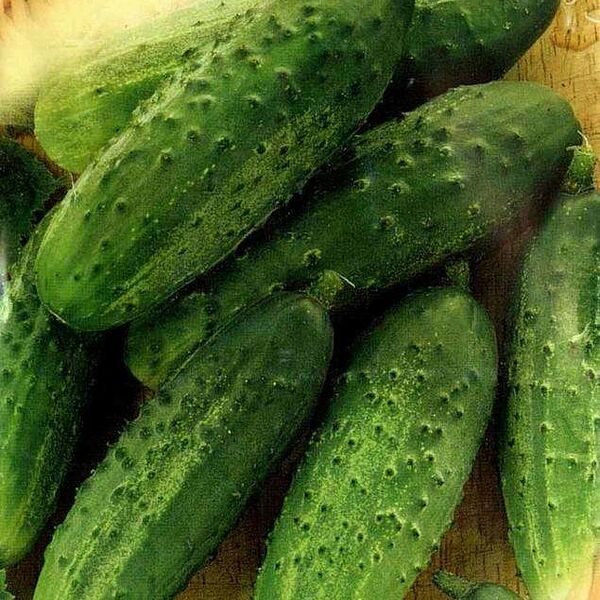 Семена Огурец Родничок F1, 10 шт ТМ Гавриш