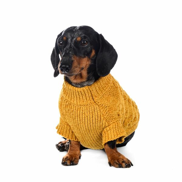 Свитер из шенилла для собак S желтый (унисекс)