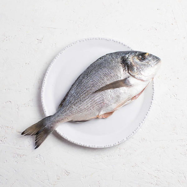 Дорада охлаждённая из Средиземного моря, очищенная