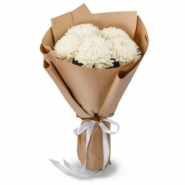 Букет из 5 белых хризантем Сингл