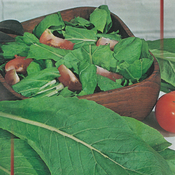 Семена ДОМ СЕМЯН Горчица салатная Ладушка, 0,9г