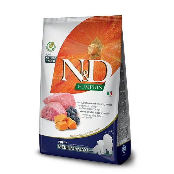 Корм Farmina N&D Dog GF Pumpkin Puppy Medium&Maxi для щенков средних и крупных пород Ягненок, тыква и черника