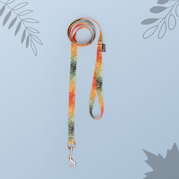 Поводок для собак и кошек Bright City, длина 120 см, ширина 10 мм