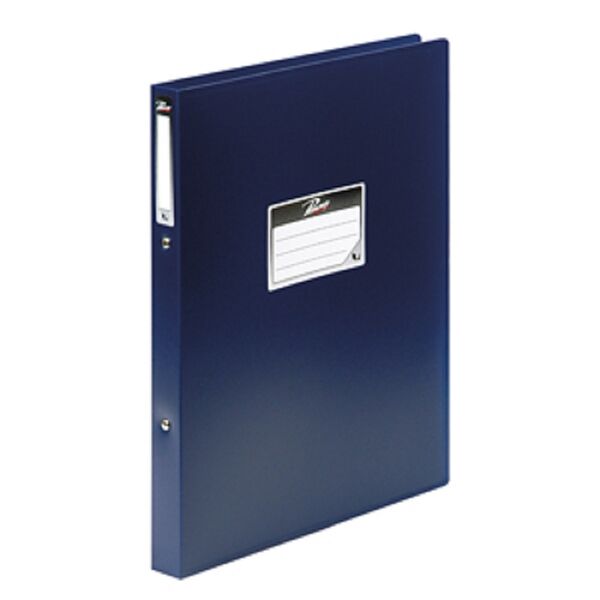 Папка 2 кольца 25мм 25-202/Ass шт Регистр