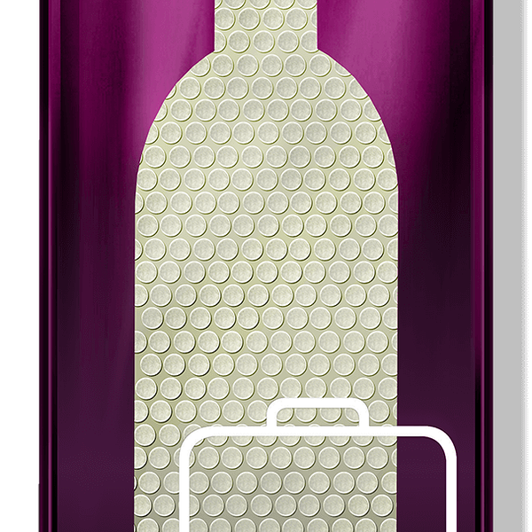 Упаковка защитная Jetbottle для транспортировки бутылок, Россия