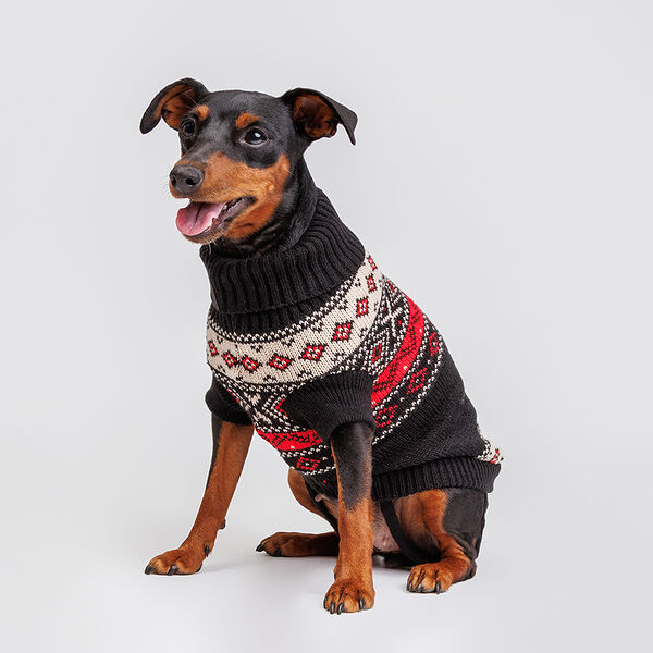 Свитер с узорами для собак, 25 см, коричневый