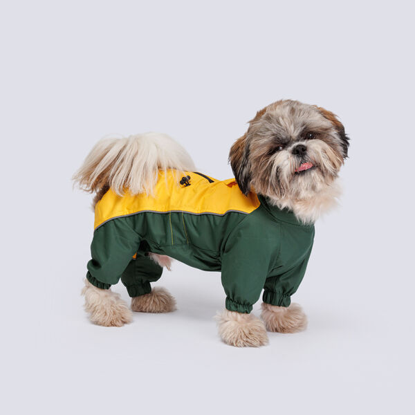 Дождевик для пекинеса, 43x64x38 см, банан (мальчик)