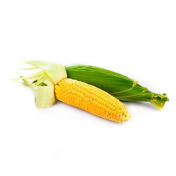 Кукуруза молодая