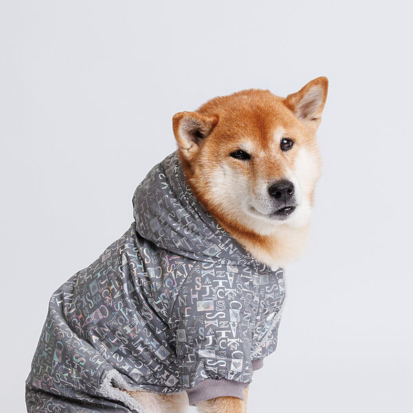 Комбинезон светоотражающий для собак, 2XL, с буквами