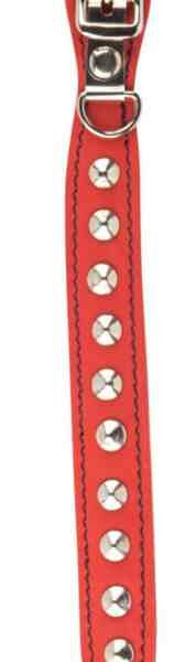 Ошейник для животных однослойный Gamma с расширением, 25 см