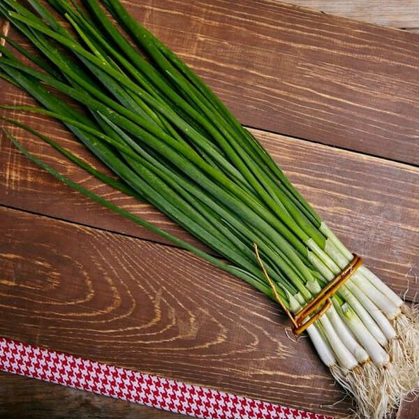 Лук зеленый, 70гр