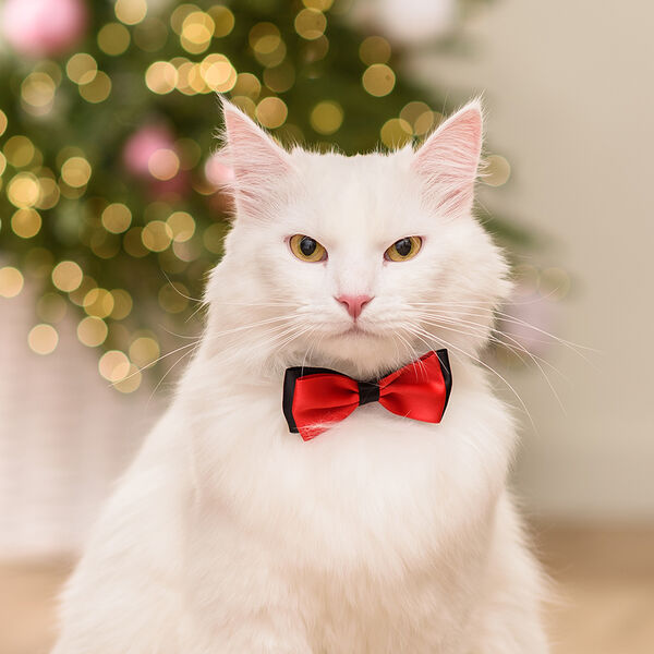 Галстук-бант для собак и кошек, 7,5х3,5 см, красный с черным