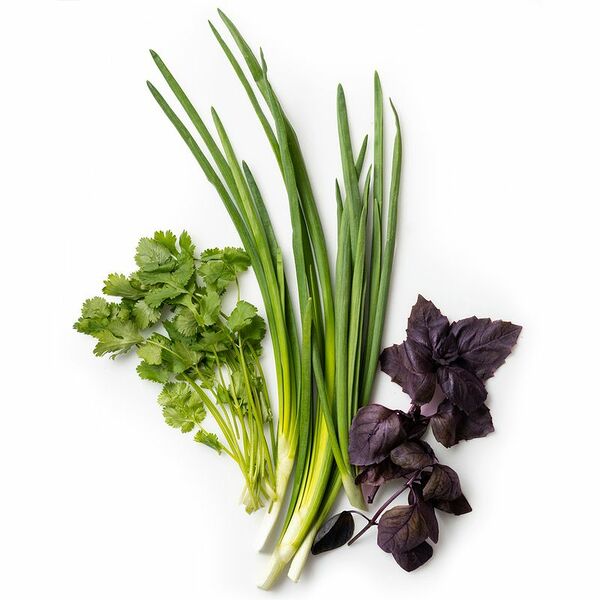 Набор зелени Салатный Базилик кинза лук 100г