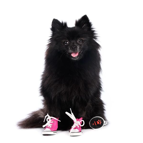 Кеды джинсовые для собак M розовый (унисекс)