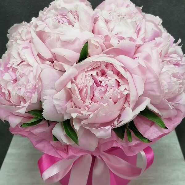 11 пионов в коробке