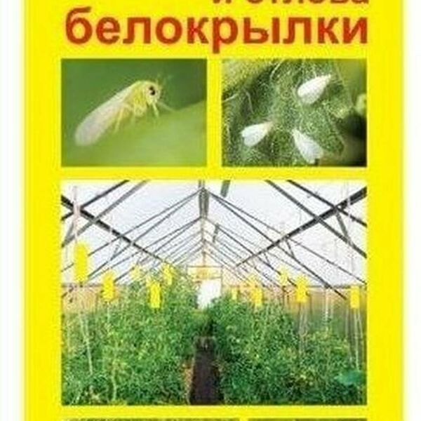 Липкая лента от белокрылки 4 шт