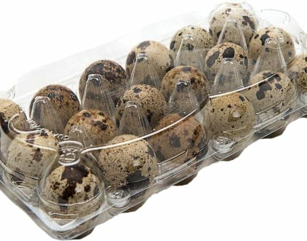 Яйцо перепелиное 18шт.